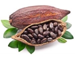 Cacao houdt hart en hersenen gezond