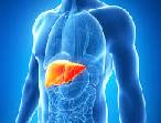 Detoxificatie therapie tegen hepatitis A