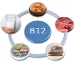 Hersenveroudering vertragen met vitamine B12