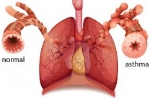 Waarom komt astma vaker voor?