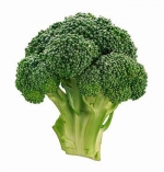 Broccoli beschermt de longen