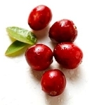 Cranberry tegen infecties van de urinewegen