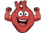 Een sterker hart met selenium en Q10