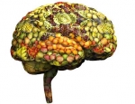 Groenten beschermen de hersenen