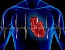 Coenzym Q10 verbetert hartfunctie