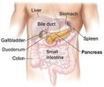 Elimineer bacteriële toxinen bij pancreatitis